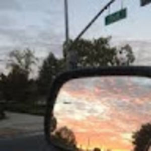 Meet your Posher, Bree